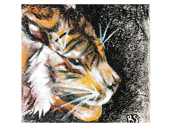 oil pastel of a tiger's side profile