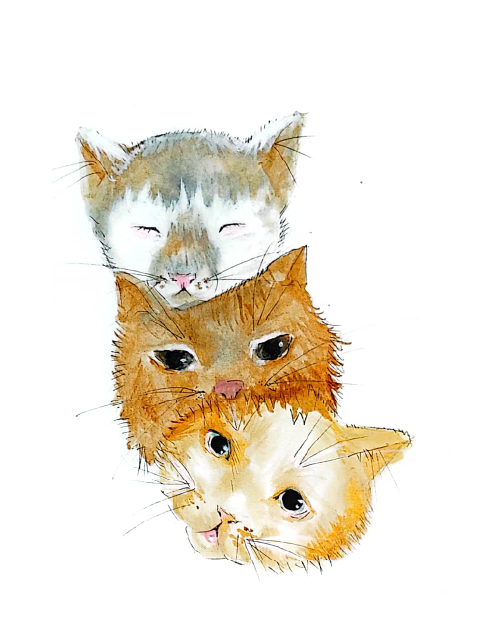 water color of 3 cat faces stacked chin to ear. White cat on top, brown cat in the middle, orange cat on the bottom